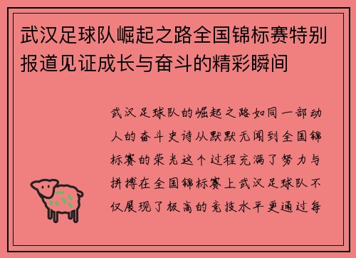 武汉足球队崛起之路全国锦标赛特别报道见证成长与奋斗的精彩瞬间